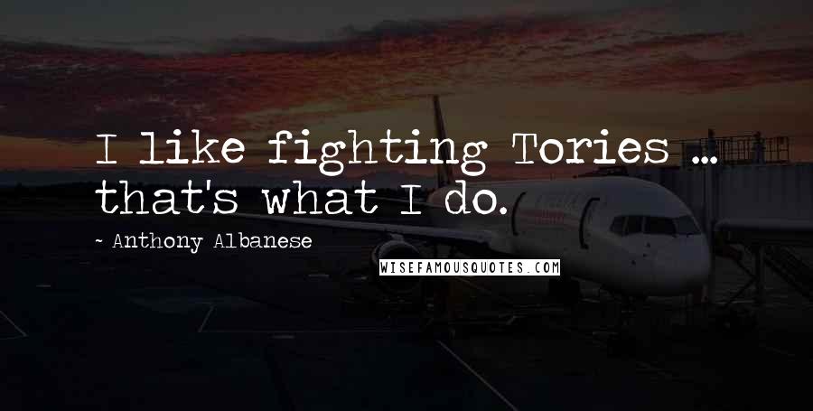 Anthony Albanese Quotes: I like fighting Tories ... that's what I do.