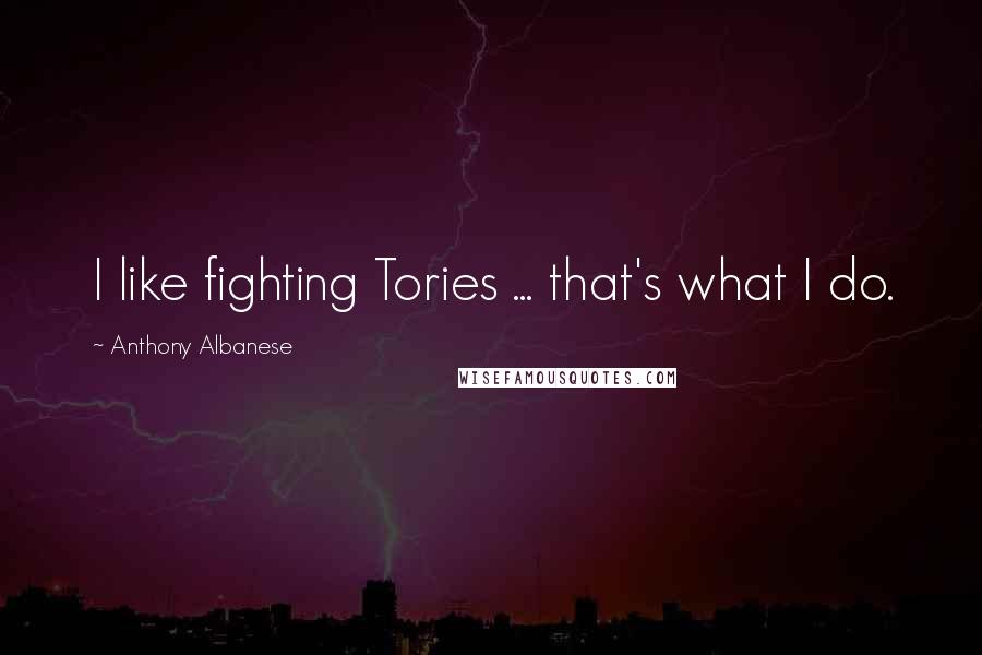 Anthony Albanese Quotes: I like fighting Tories ... that's what I do.