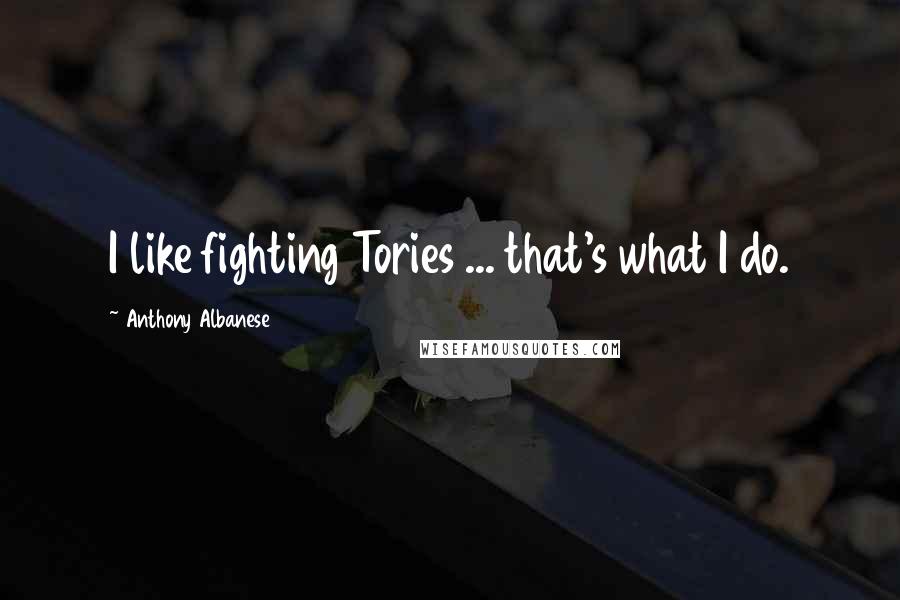 Anthony Albanese Quotes: I like fighting Tories ... that's what I do.