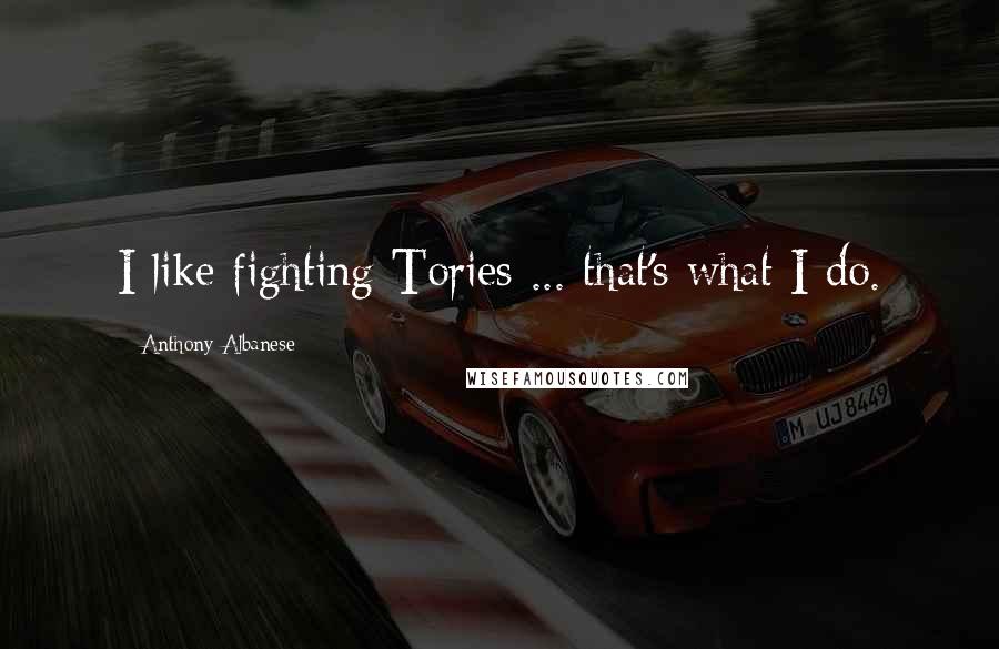 Anthony Albanese Quotes: I like fighting Tories ... that's what I do.