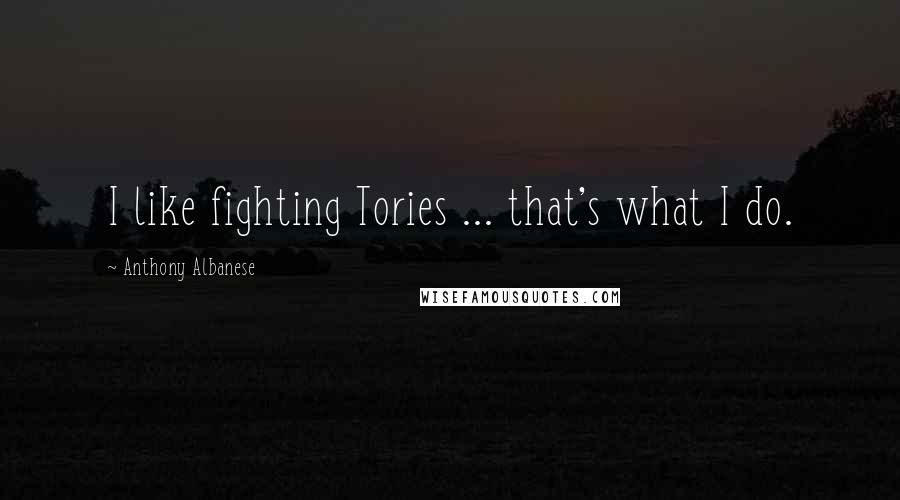 Anthony Albanese Quotes: I like fighting Tories ... that's what I do.