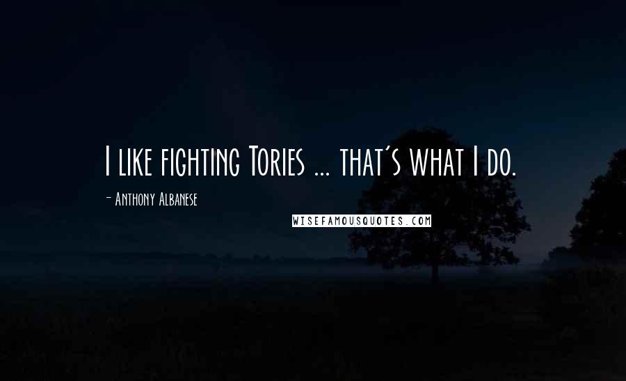 Anthony Albanese Quotes: I like fighting Tories ... that's what I do.