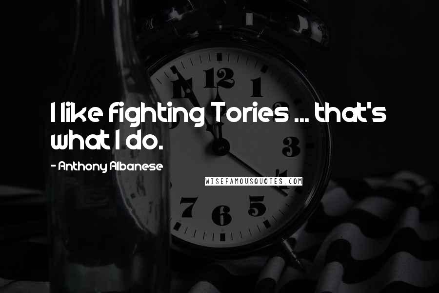 Anthony Albanese Quotes: I like fighting Tories ... that's what I do.