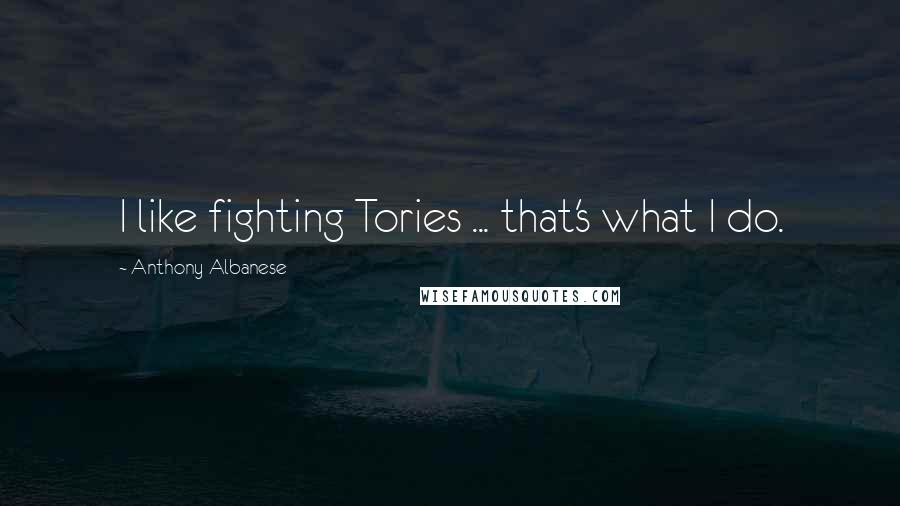 Anthony Albanese Quotes: I like fighting Tories ... that's what I do.