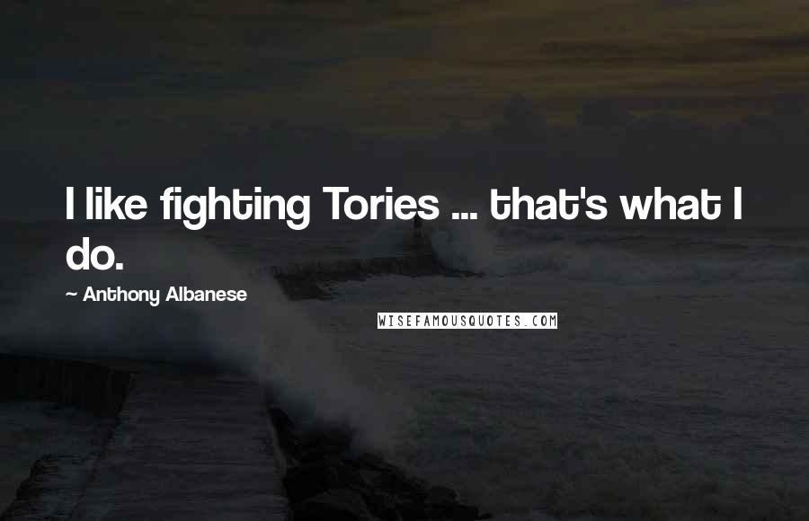 Anthony Albanese Quotes: I like fighting Tories ... that's what I do.