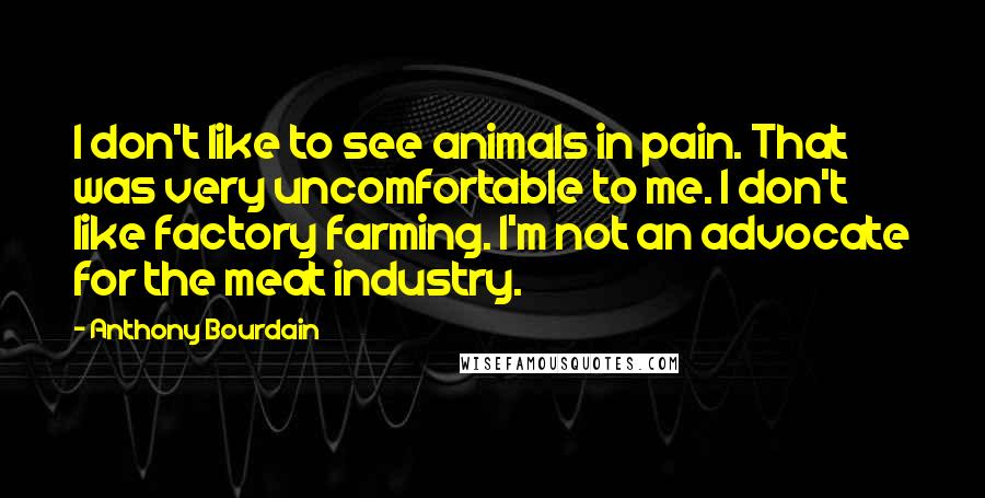 Anthony Bourdain Quotes: I don't like to see animals in pain. That was very uncomfortable to me. I don't like factory farming. I'm not an advocate for the meat industry.