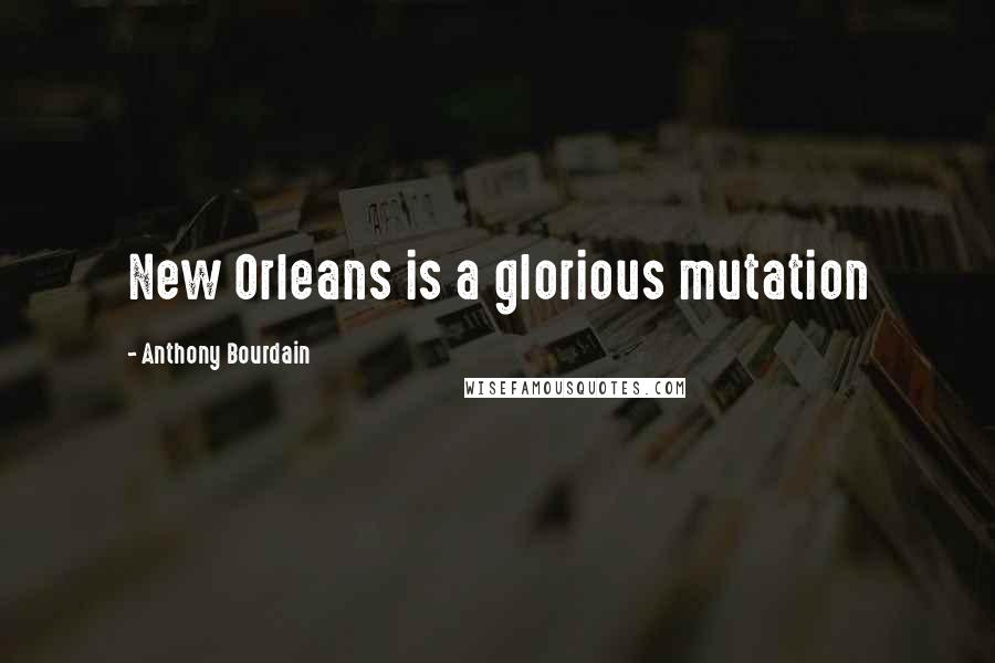 Anthony Bourdain Quotes: New Orleans is a glorious mutation