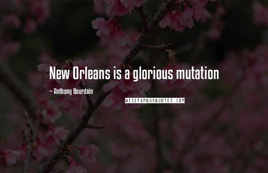 Anthony Bourdain Quotes: New Orleans is a glorious mutation