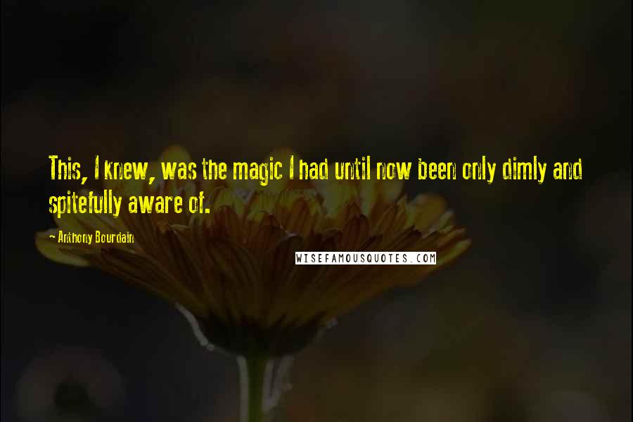 Anthony Bourdain Quotes: This, I knew, was the magic I had until now been only dimly and spitefully aware of.