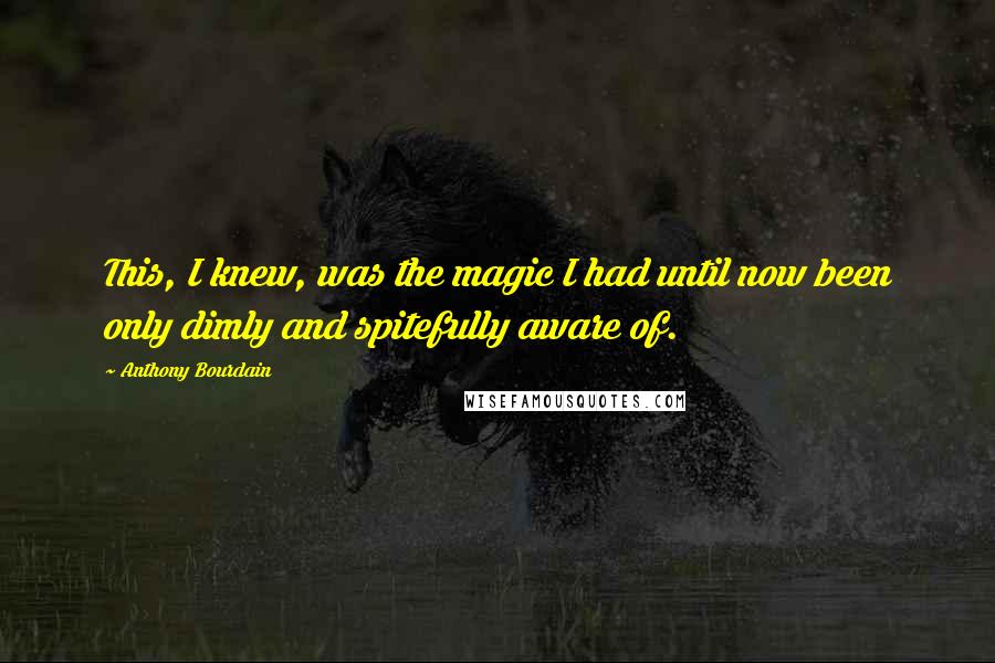 Anthony Bourdain Quotes: This, I knew, was the magic I had until now been only dimly and spitefully aware of.
