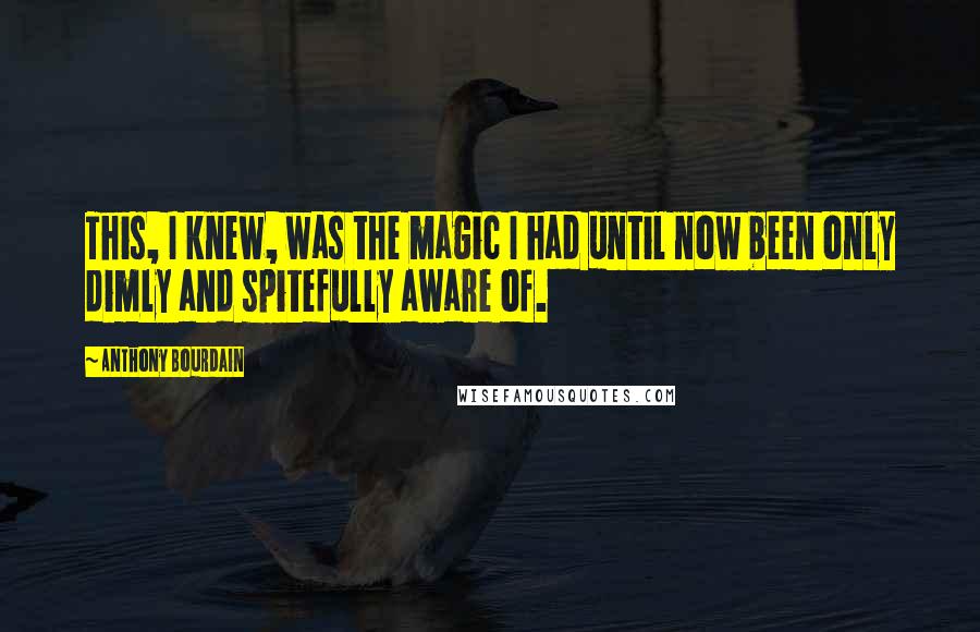 Anthony Bourdain Quotes: This, I knew, was the magic I had until now been only dimly and spitefully aware of.