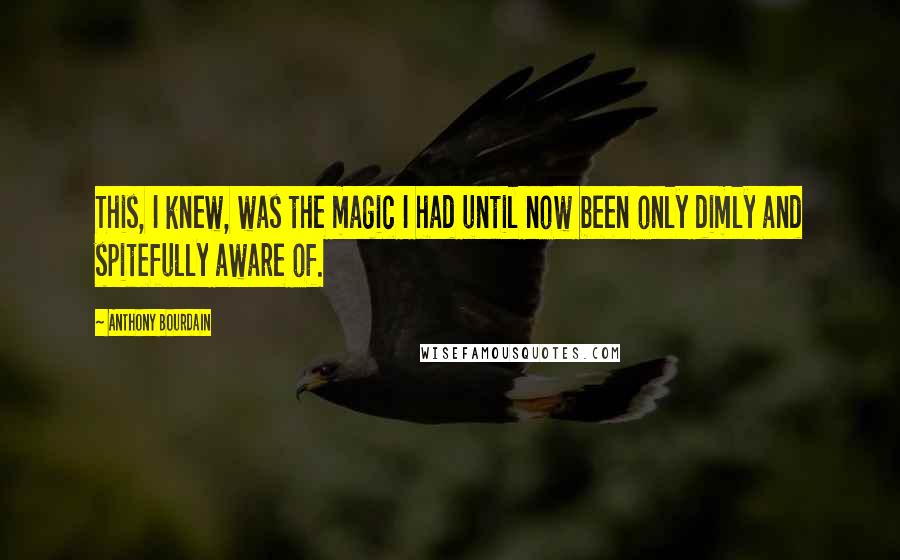 Anthony Bourdain Quotes: This, I knew, was the magic I had until now been only dimly and spitefully aware of.