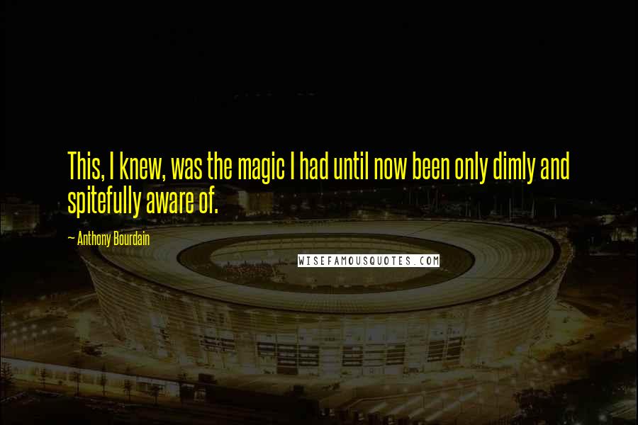 Anthony Bourdain Quotes: This, I knew, was the magic I had until now been only dimly and spitefully aware of.