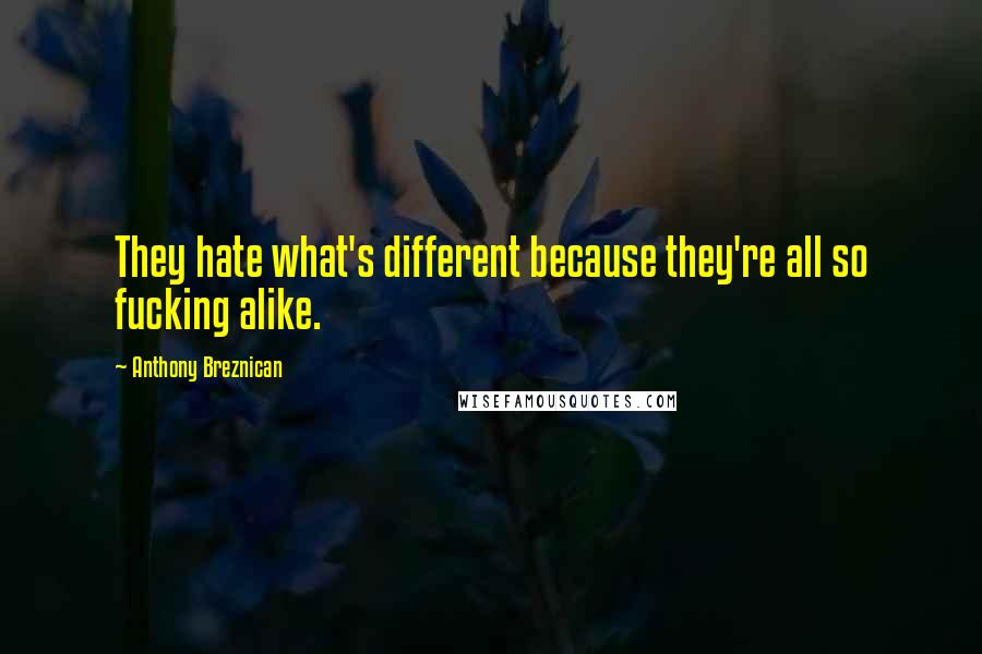 Anthony Breznican Quotes: They hate what's different because they're all so fucking alike.