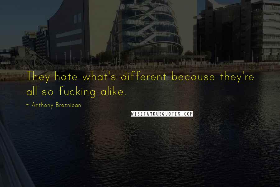 Anthony Breznican Quotes: They hate what's different because they're all so fucking alike.