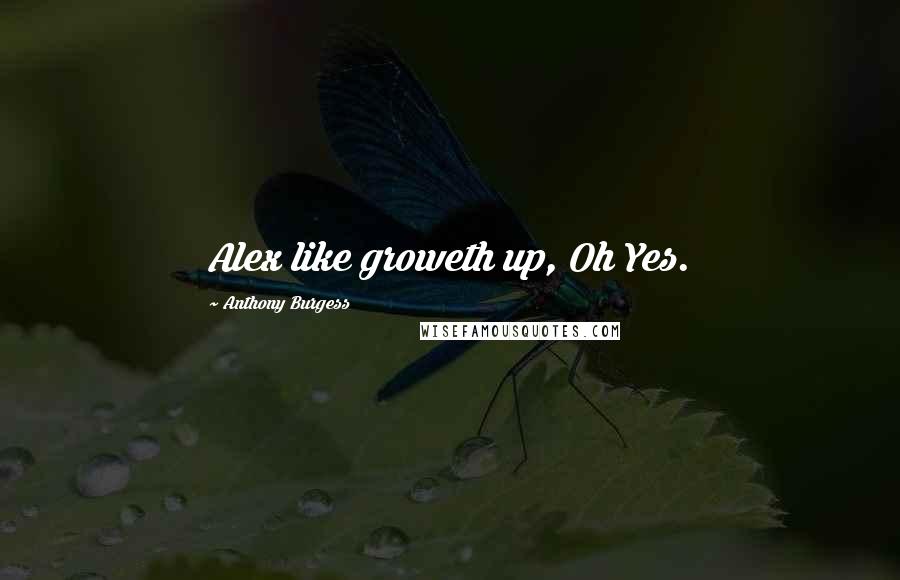 Anthony Burgess Quotes: Alex like groweth up, Oh Yes.