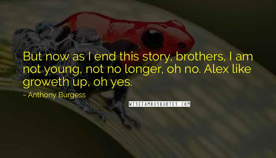 Anthony Burgess Quotes: But now as I end this story, brothers, I am not young, not no longer, oh no. Alex like groweth up, oh yes.