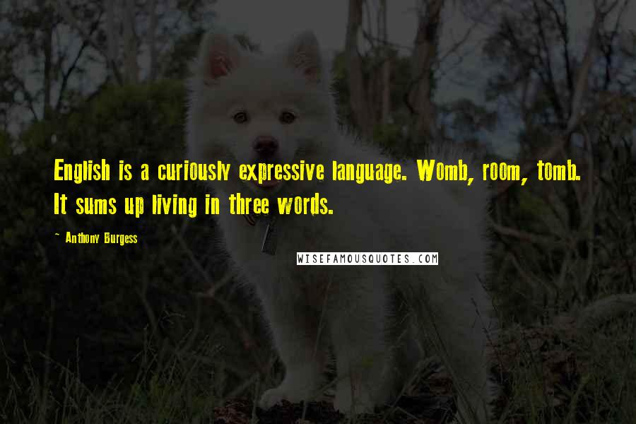 Anthony Burgess Quotes: English is a curiously expressive language. Womb, room, tomb. It sums up living in three words.