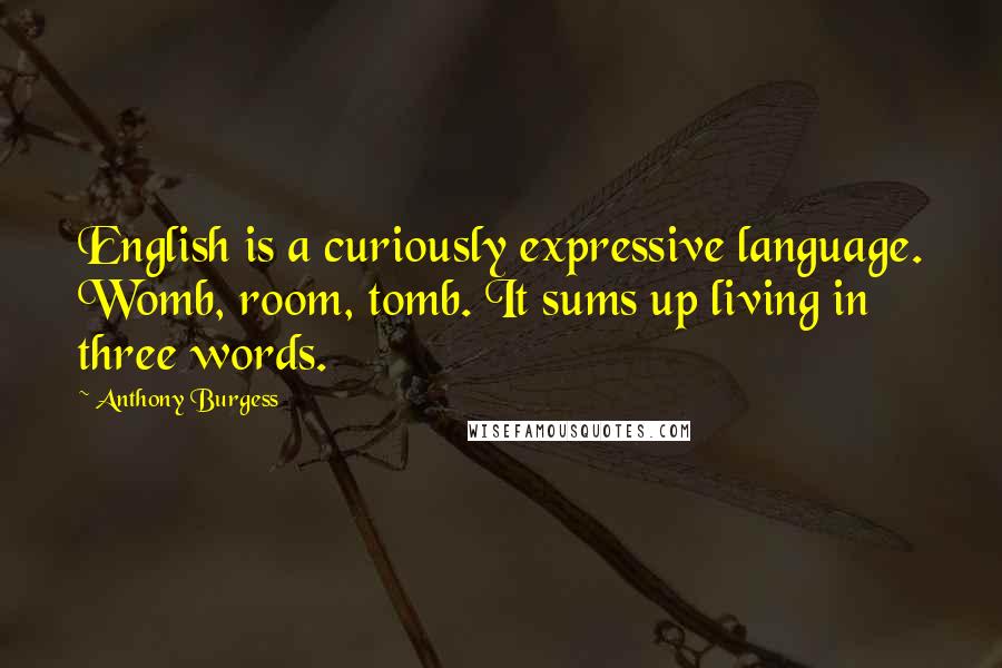Anthony Burgess Quotes: English is a curiously expressive language. Womb, room, tomb. It sums up living in three words.