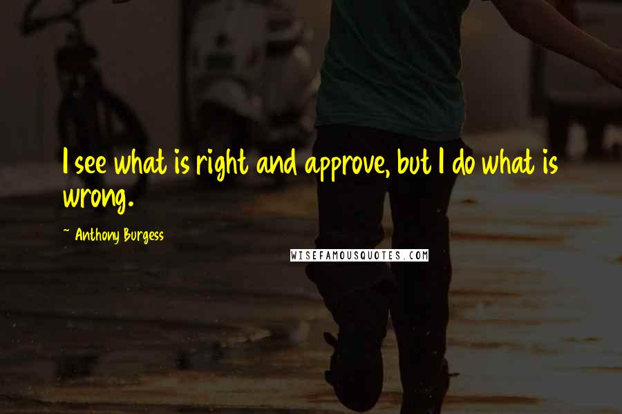 Anthony Burgess Quotes: I see what is right and approve, but I do what is wrong.