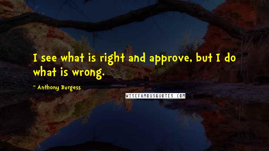 Anthony Burgess Quotes: I see what is right and approve, but I do what is wrong.