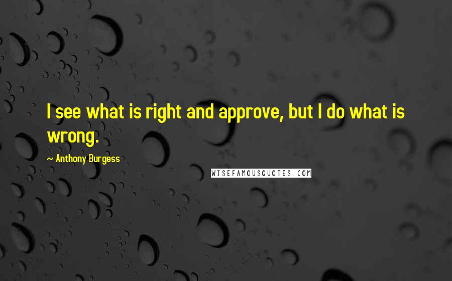 Anthony Burgess Quotes: I see what is right and approve, but I do what is wrong.