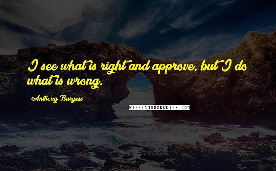 Anthony Burgess Quotes: I see what is right and approve, but I do what is wrong.