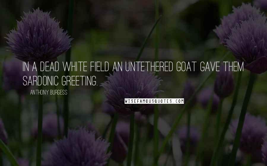 Anthony Burgess Quotes: In a dead white field an untethered goat gave them sardonic greeting.