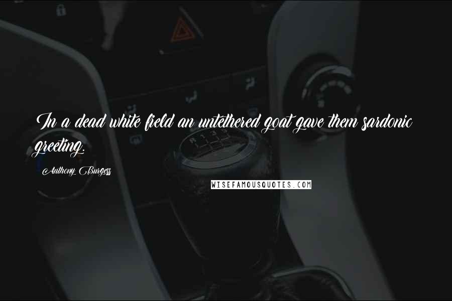 Anthony Burgess Quotes: In a dead white field an untethered goat gave them sardonic greeting.