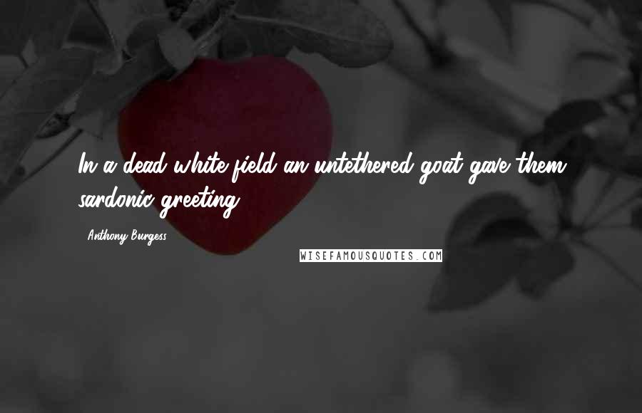 Anthony Burgess Quotes: In a dead white field an untethered goat gave them sardonic greeting.