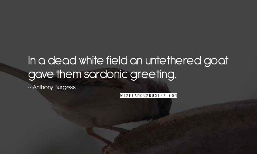 Anthony Burgess Quotes: In a dead white field an untethered goat gave them sardonic greeting.