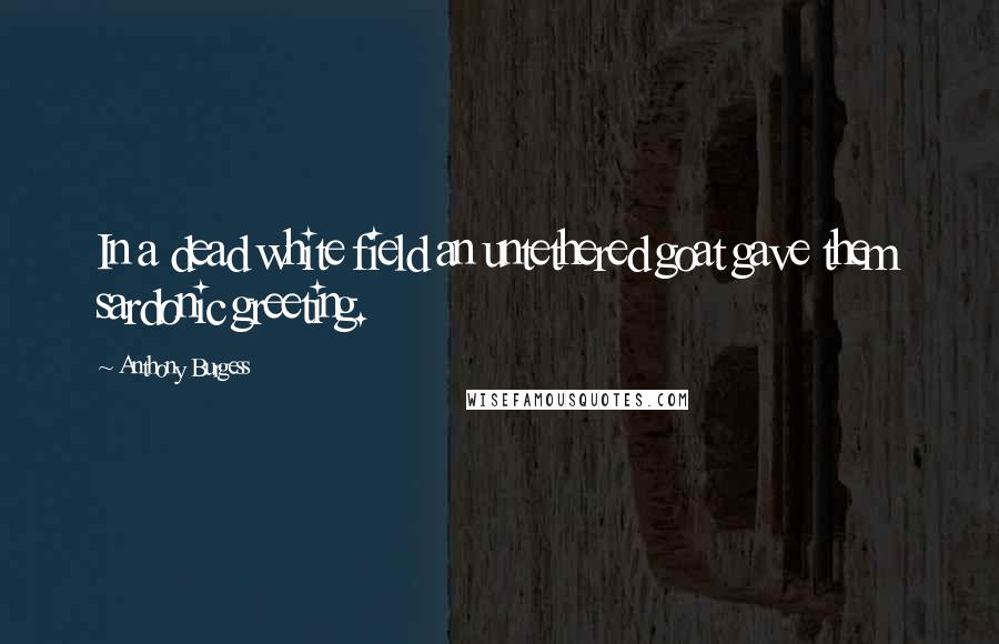 Anthony Burgess Quotes: In a dead white field an untethered goat gave them sardonic greeting.