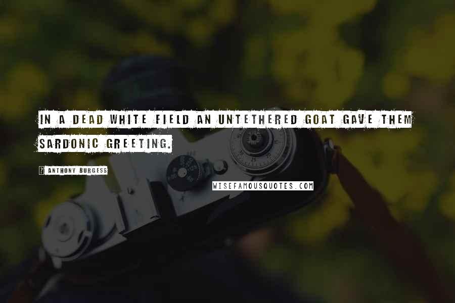 Anthony Burgess Quotes: In a dead white field an untethered goat gave them sardonic greeting.
