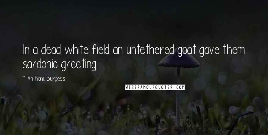 Anthony Burgess Quotes: In a dead white field an untethered goat gave them sardonic greeting.