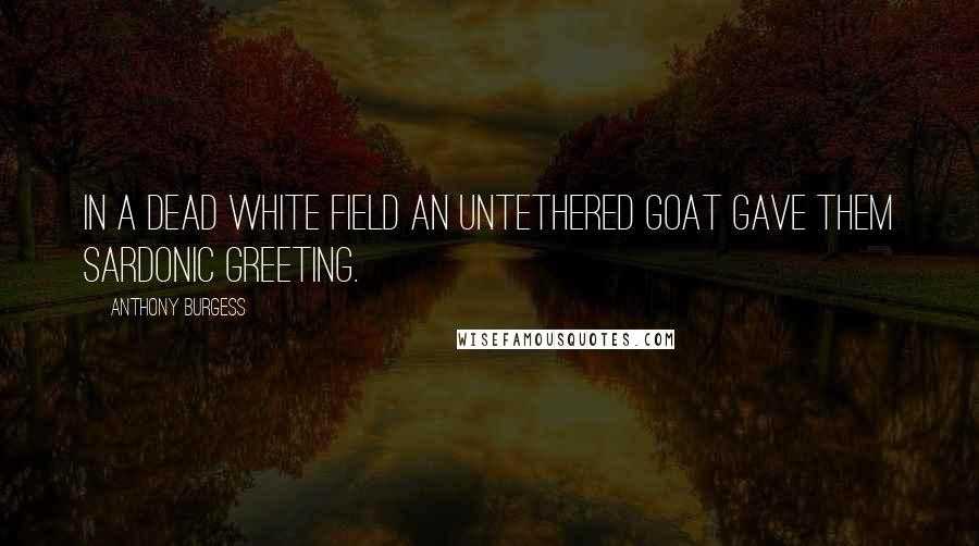 Anthony Burgess Quotes: In a dead white field an untethered goat gave them sardonic greeting.