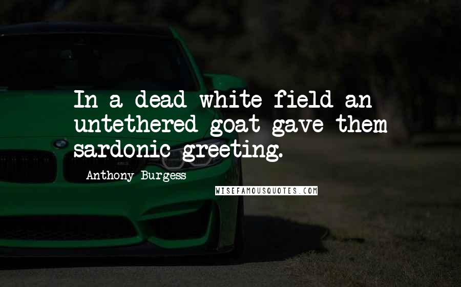 Anthony Burgess Quotes: In a dead white field an untethered goat gave them sardonic greeting.