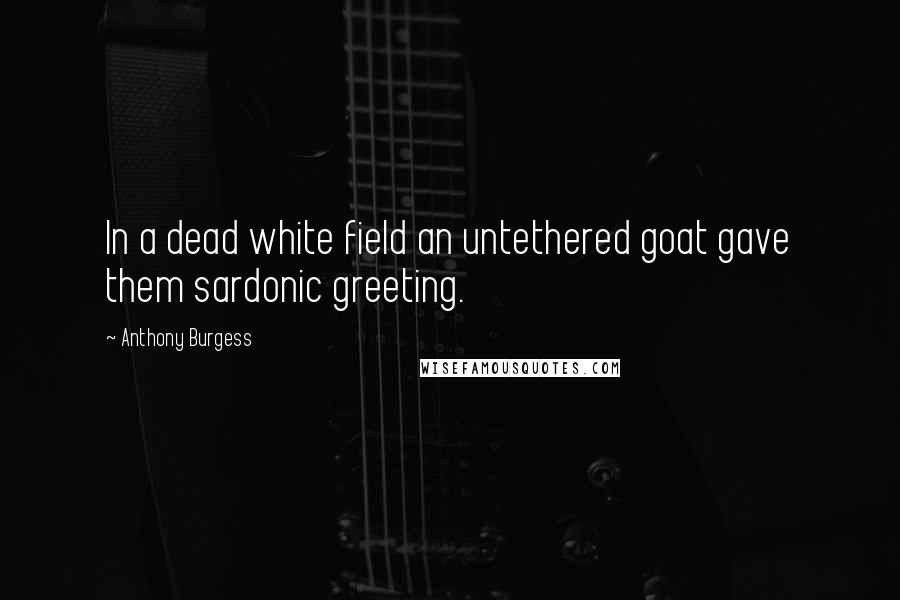 Anthony Burgess Quotes: In a dead white field an untethered goat gave them sardonic greeting.