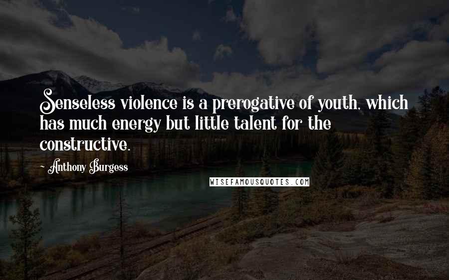 Anthony Burgess Quotes: Senseless violence is a prerogative of youth, which has much energy but little talent for the constructive.