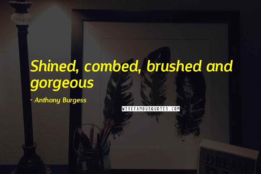 Anthony Burgess Quotes: Shined, combed, brushed and gorgeous