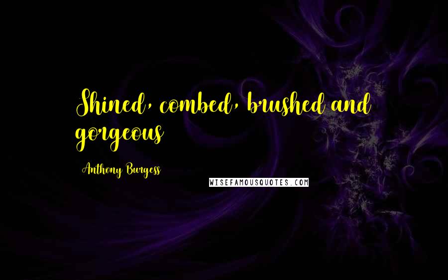 Anthony Burgess Quotes: Shined, combed, brushed and gorgeous