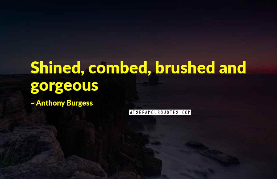 Anthony Burgess Quotes: Shined, combed, brushed and gorgeous