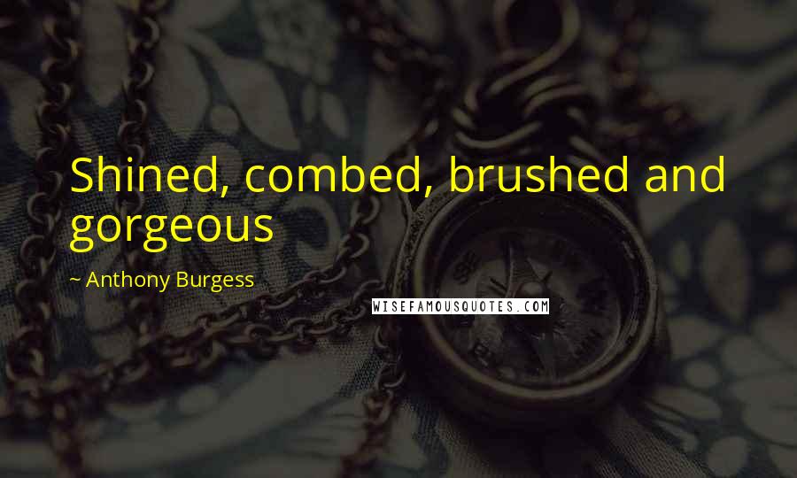 Anthony Burgess Quotes: Shined, combed, brushed and gorgeous