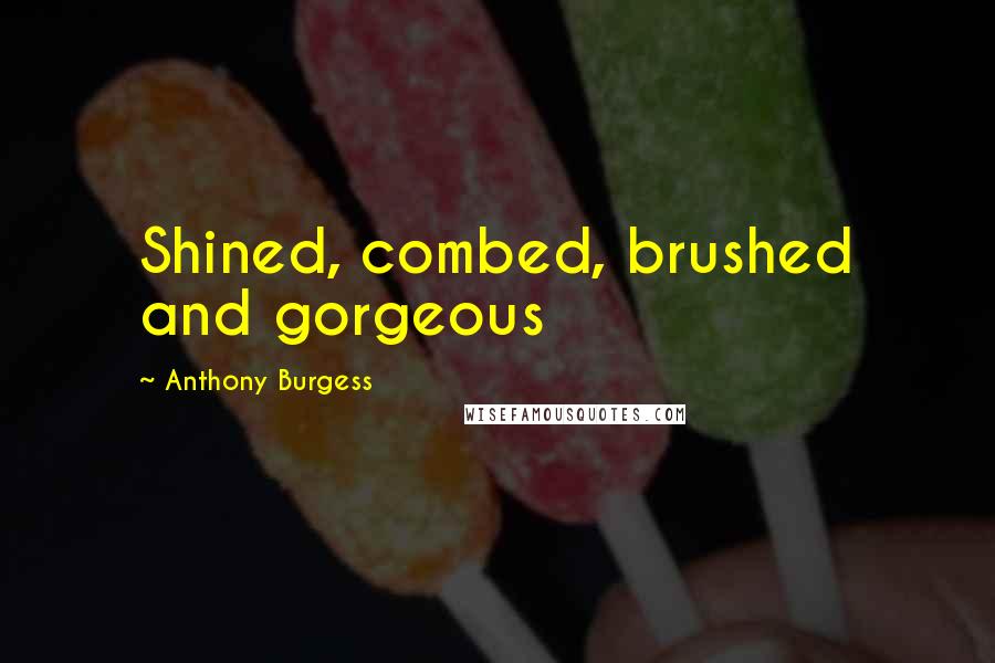 Anthony Burgess Quotes: Shined, combed, brushed and gorgeous