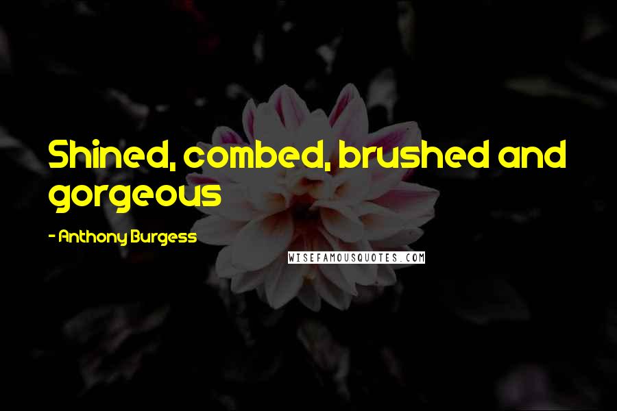 Anthony Burgess Quotes: Shined, combed, brushed and gorgeous