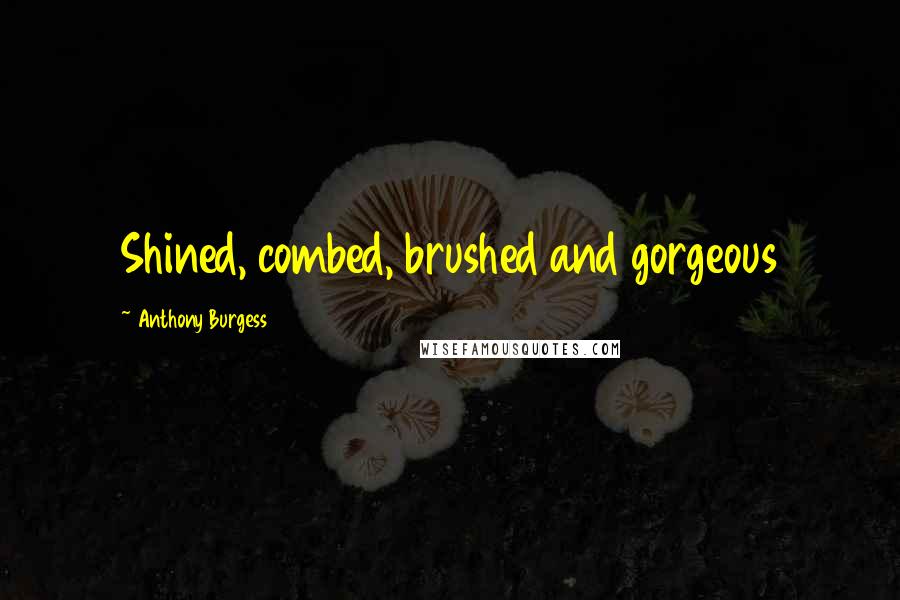 Anthony Burgess Quotes: Shined, combed, brushed and gorgeous