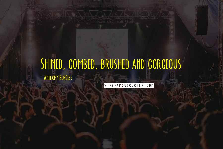 Anthony Burgess Quotes: Shined, combed, brushed and gorgeous