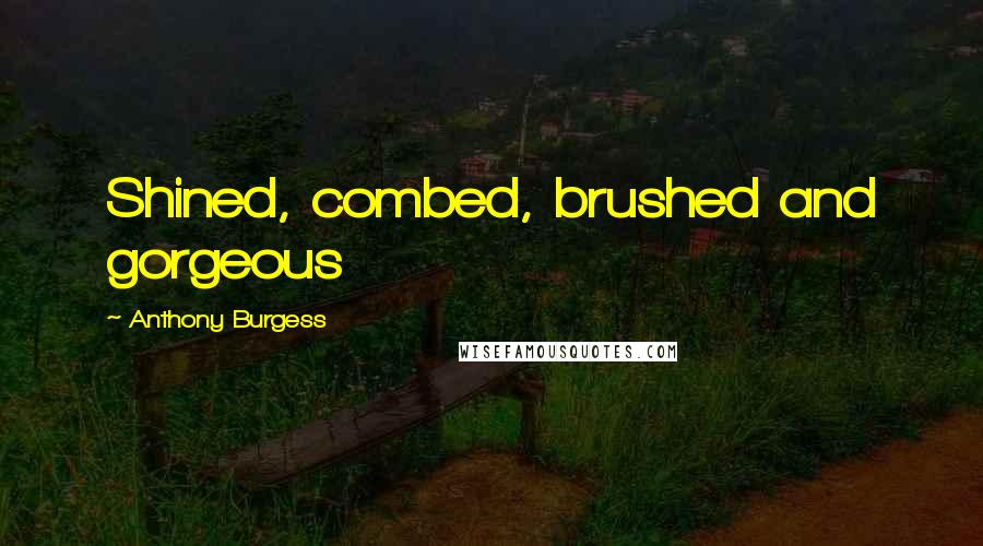 Anthony Burgess Quotes: Shined, combed, brushed and gorgeous