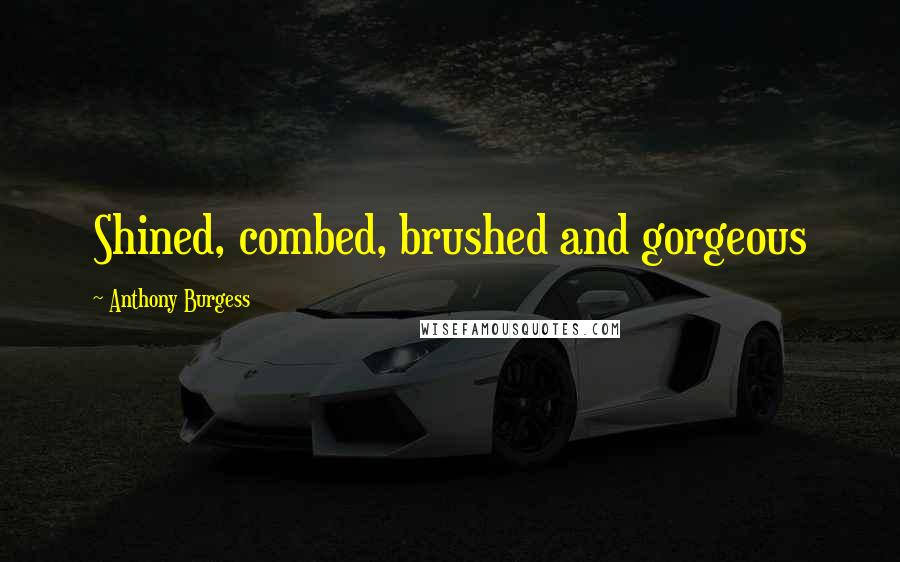 Anthony Burgess Quotes: Shined, combed, brushed and gorgeous