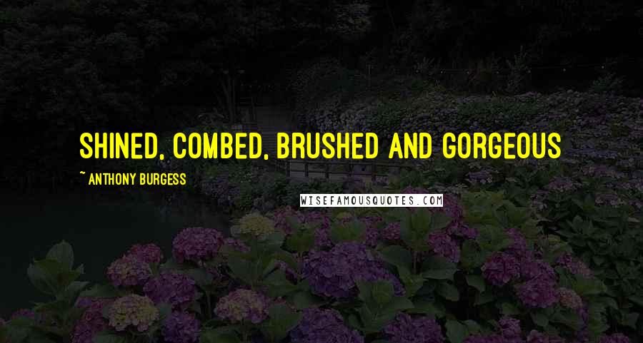 Anthony Burgess Quotes: Shined, combed, brushed and gorgeous