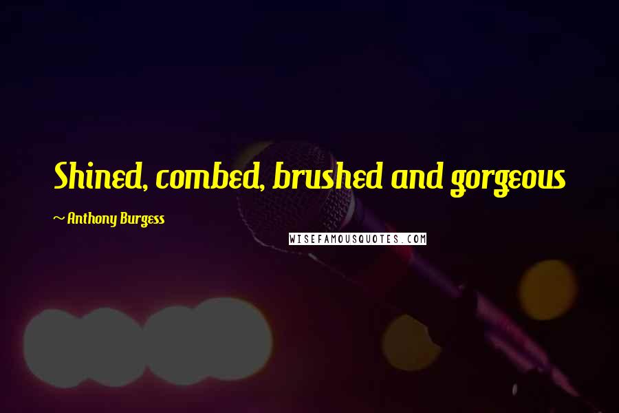 Anthony Burgess Quotes: Shined, combed, brushed and gorgeous